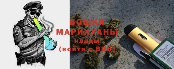 твердый Касимов
