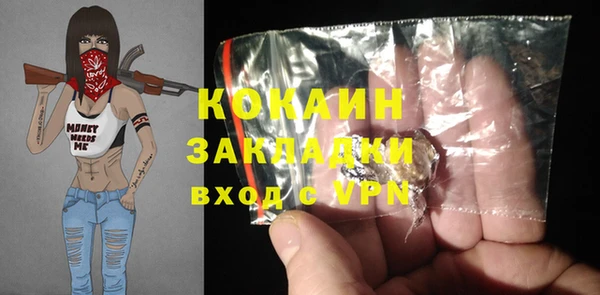 твердый Касимов