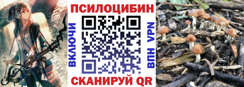 Псилоцибиновые грибы GOLDEN TEACHER  Купить закладки  Богучар 